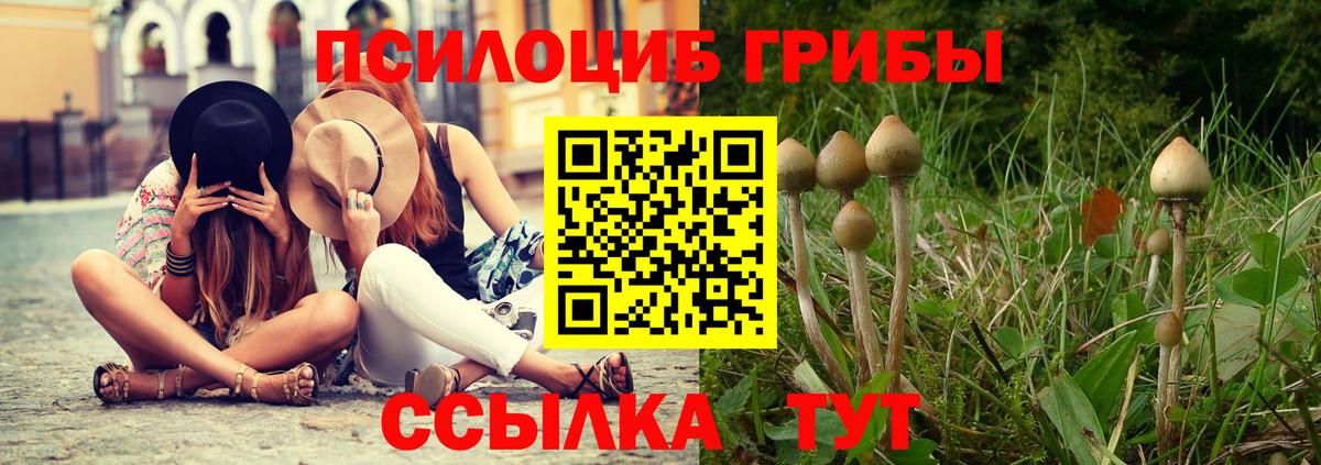 Псилоцибиновые грибы GOLDEN TEACHER  Сосновоборск 