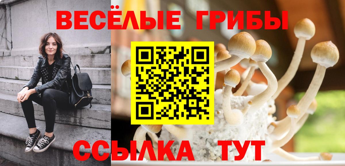 Псилоцибиновые грибы мицелий Сосновоборск