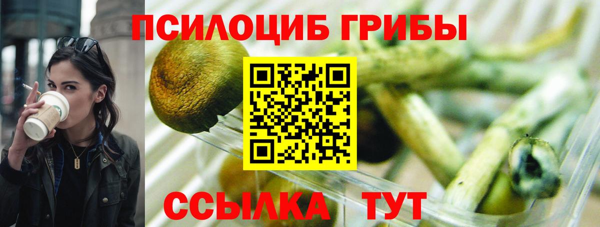 Псилоцибиновые грибы MAGIC MUSHROOMS  Псилоцибиновые грибы Psilocybe  Вход с VPN  Сосновоборск 